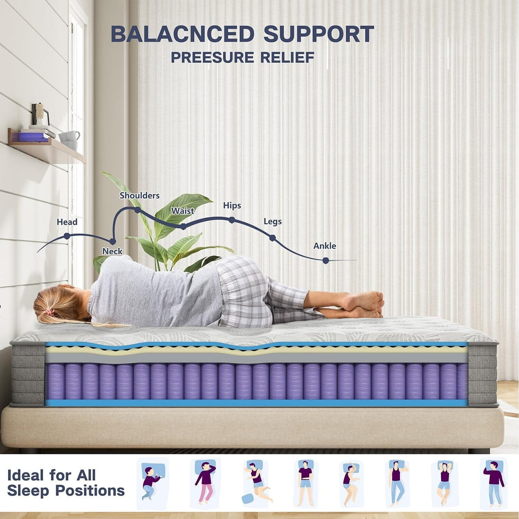 10" 12" 14" Gel Memory Foam Spring Hybrid Twin Full Queen King Mattress in A Box